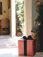Christmas gift wrapped in red and black ribbon sitting by open door photo