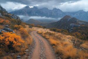 Winding dirt road leading into foggy mountains in autumn photo