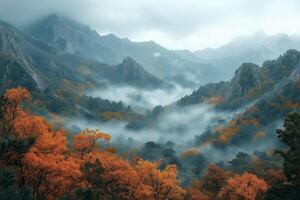 Fog rolling over majestic autumn mountains in the morning photo