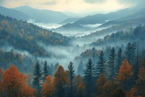 Fog rolling over majestic autumn mountains in the great smoky mountains national park photo