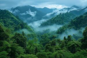 Fog rolling over lush tropical rainforest and mountains photo