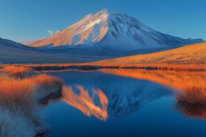 Snowy mountain reflecting in a lake at sunset with orange grass photo