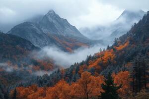 Fog rolling over majestic mountains and colorful autumn forest photo