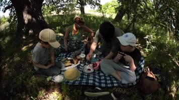 Women with children have summer picnic in forest, intentional distortion due to using fisheye lens. Mothers with their sons sit on checkered coverlet, eat pancakes, mom add strawberry jam with spoon. video