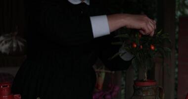 Woman in Halloween nun costume pick spicy pepper pod from bush in clay pod and throw it into glass bowl with witchcraft potion. Goth nun prepare magic potion on table with skull and tealight candles video