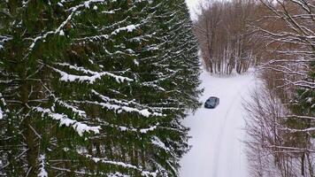Drone view of car on winter road. Aerial shot of snow covered road in the countryside with car on way video