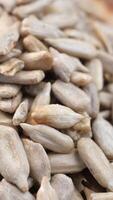 sun flower seeds in a bowl on table video
