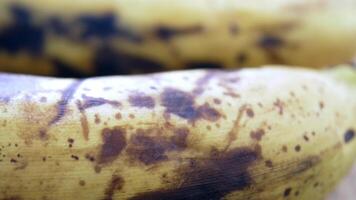 Freshly Ripened Bananas Arranged in a Beautifully Woven Rustic Basket for Enjoyment video