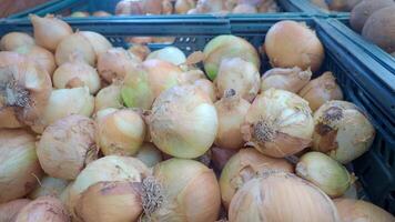 Fresh Onions Available for Purchase in a Market Basket Display video