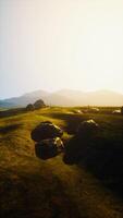 Grassy Field With Rocks, Mountains Background video