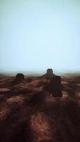 Group of Rocks in Desert video