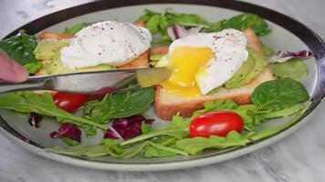 Poached eggs on toast with avocado and fresh salad greens for a breakfast video