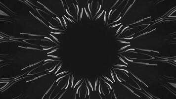Kaleidoscopic mandala pattern with flowing white fractal waves. Abstract black background 4k glowing neon waves and repeating. video