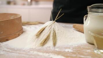 A person is standing next to flour and wheat video