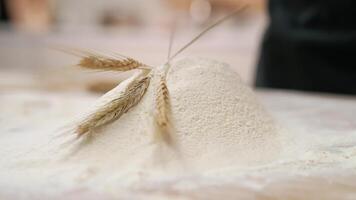 A person is standing in front of a mound of flour video