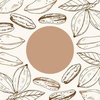 Card background with Pecan nuts for text. Hand drawn label with nutty plants. Design element for logo, label, print, sign, paper, template, wrapping vector