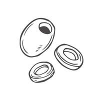 Olive sketch isolated on white background vector