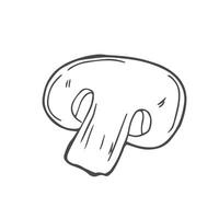 Champignon sketch hand drawn illustration in vector