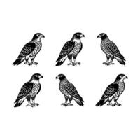 Buzzard and Linocut Silhouette Design vector
