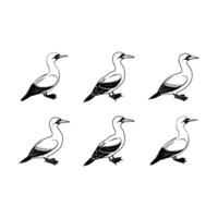 and Linocut Silhouette Design of Gannet Bird vector