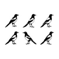 Magpie and Linocut Silhouette Design vector