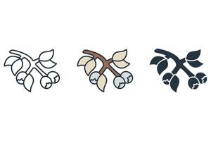 berries icons symbol elements for infographic web vector