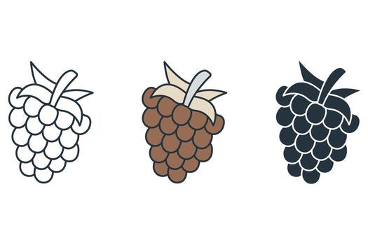 frambuesa íconos símbolo elementos para infografía web vector