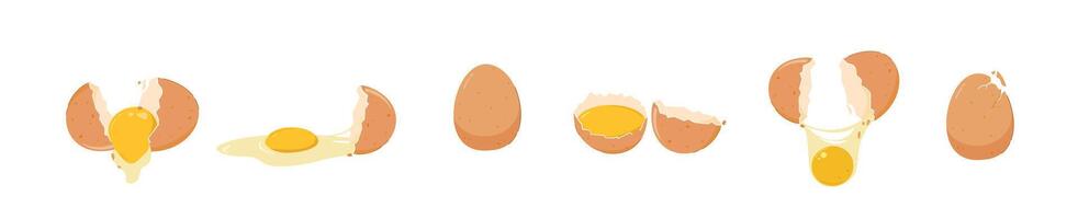 set raw chicken eggs in various conditions, on isolated background. for posters and web icons vector