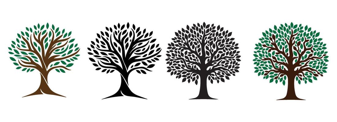 Collection of trees Illustration