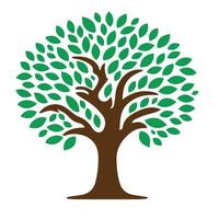 Tree with green leaves Illustration vector