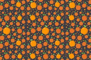 Apricots pattern on white background vector