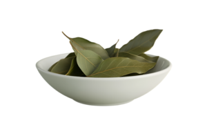 Bay leaves in a white bowl isolated on a transparent background png