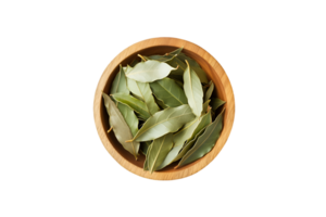 Bay leaves in a wooden bowl isolated on a transparent background png