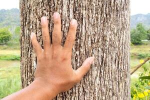 Hand Touching Tree Trunk in Nature, Symbolizing Connection with Environment and Conservation Efforts in a Natural Setting photo