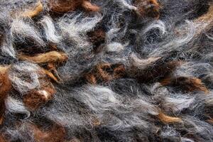 Closeup of natural alpaca wool fleece in shades of brown, gray, and white. Detailed texture of mixed color fibers. Sustainable resources, felting craftsmanship, design, warmth concept. photo