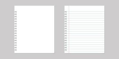 Realistic illustration of a paper from a workbook with shadow illustration. vector