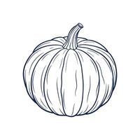 Hand-Drawn Pumpkin Lines vector