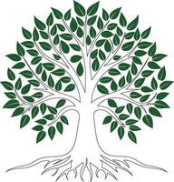A tree with a green leaf on it white backgroun vector