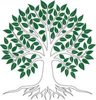 Birch Tree Illustration on a Pure White Background vector
