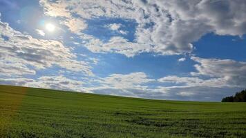 A field with green grass and clouds photo