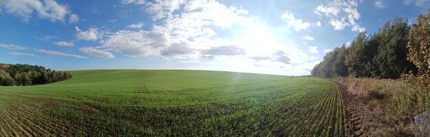 360 panorama of a field with trees and sky photo