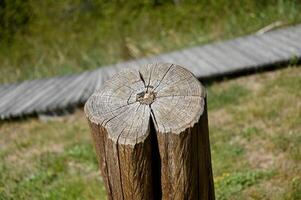 a wooden post with a wooden fence in the background photo