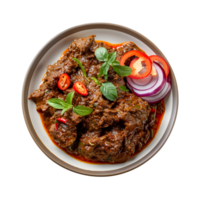 Authentic Beef Rendang Isolated for Stock Use png