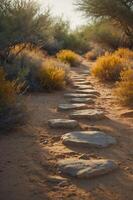 A serene pathway lined with stones, surrounded by vibrant foliage in a natural setting. photo