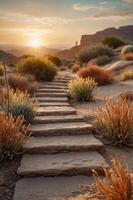 A serene pathway leads through desert vegetation towards a sunset backdrop. photo