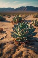 A close-up of a succulent plant in a dry, desert landscape with mountains in the background. photo