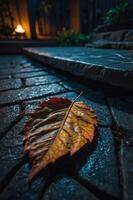 A close-up of a vibrant autumn leaf on a wet stone pathway, illuminated by soft light. photo