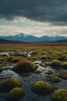 A serene landscape featuring moss-covered stones with mountains in the background under cloudy skies. photo