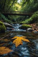 A serene stream with a yellow leaf, surrounded by lush greenery and a wooden bridge. photo