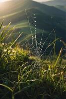 A close-up of a spider web adorned with dew droplets, set against a backdrop of rolling hills. photo